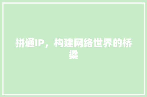 拼通IP，构建网络世界的桥梁