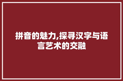 拼音的魅力,探寻汉字与语言艺术的交融
