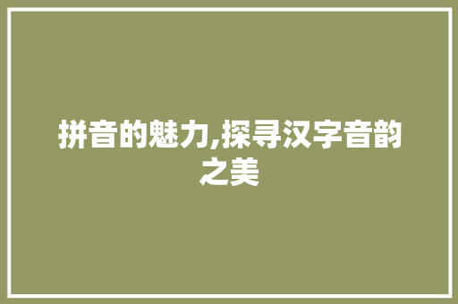拼音的魅力,探寻汉字音韵之美