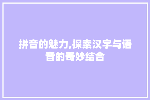 拼音的魅力,探索汉字与语音的奇妙结合