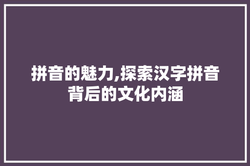 拼音的魅力,探索汉字拼音背后的文化内涵