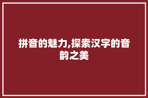 拼音的魅力,探索汉字的音韵之美