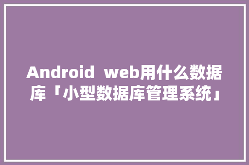 Android  web用什么数据库「小型数据库管理系统」 Web前端