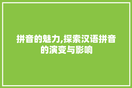 拼音的魅力,探索汉语拼音的演变与影响 服务器/数据库