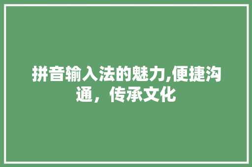 拼音输入法的魅力,便捷沟通，传承文化