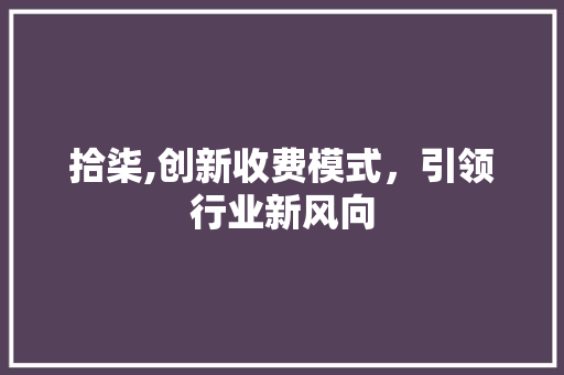 拾柒,创新收费模式，引领行业新风向
