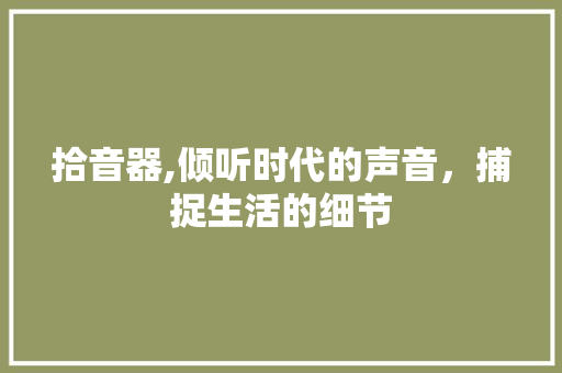 拾音器,倾听时代的声音，捕捉生活的细节