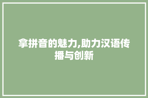 拿拼音的魅力,助力汉语传播与创新 Web前端
