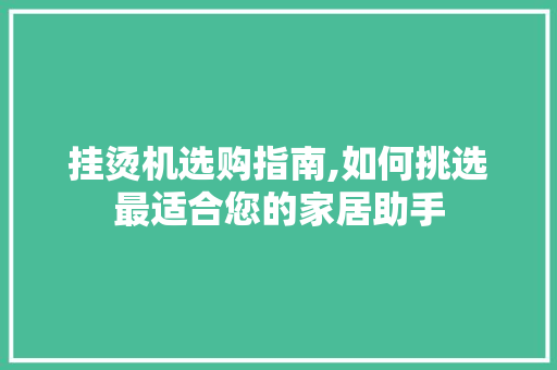 挂烫机选购指南,如何挑选最适合您的家居助手