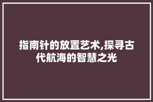 指南针的放置艺术,探寻古代航海的智慧之光