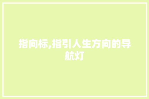 指向标,指引人生方向的导航灯
