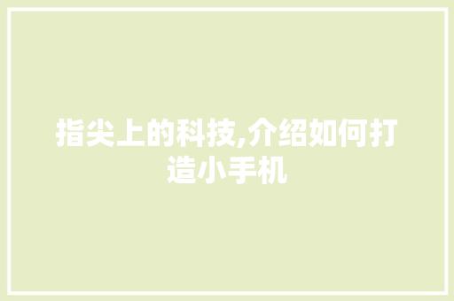 指尖上的科技,介绍如何打造小手机