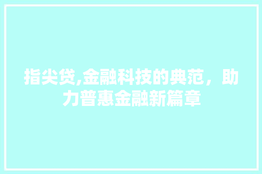 指尖贷,金融科技的典范，助力普惠金融新篇章