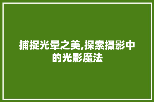 捕捉光晕之美,探索摄影中的光影魔法
