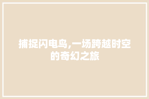 捕捉闪电鸟,一场跨越时空的奇幻之旅