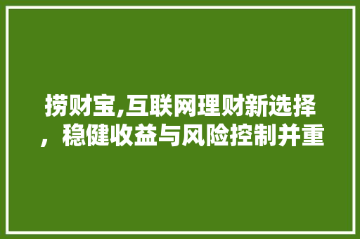 捞财宝,互联网理财新选择，稳健收益与风险控制并重 服务器/数据库