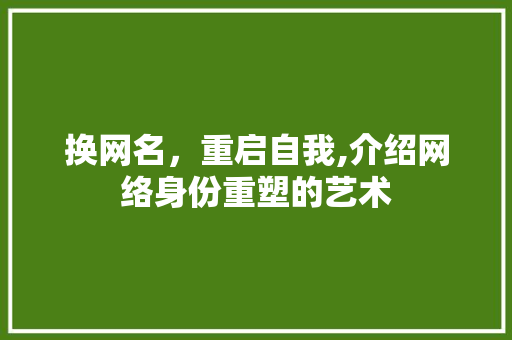 换网名，重启自我,介绍网络身份重塑的艺术
