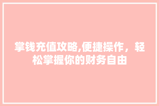 掌钱充值攻略,便捷操作，轻松掌握你的财务自由