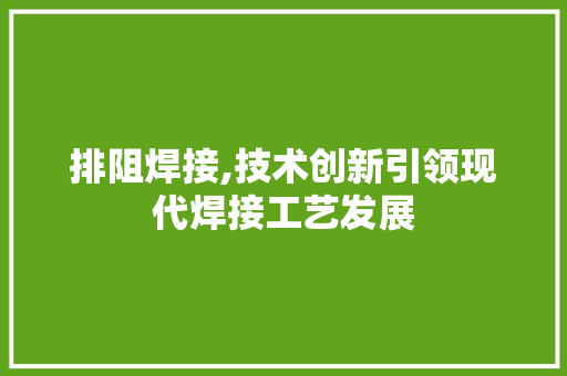 排阻焊接,技术创新引领现代焊接工艺发展