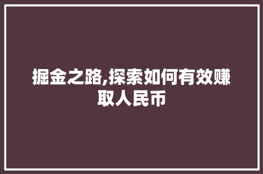 掘金之路,探索如何有效赚取人民币