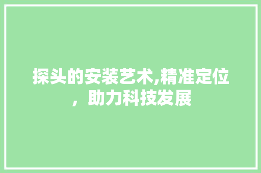 探头的安装艺术,精准定位，助力科技发展
