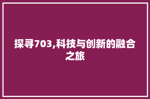 探寻703,科技与创新的融合之旅
