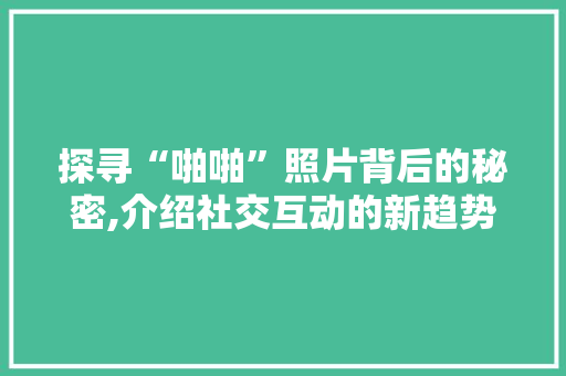 探寻“啪啪”照片背后的秘密,介绍社交互动的新趋势