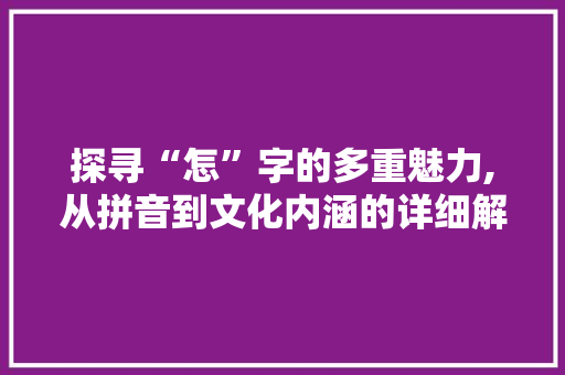 探寻“怎”字的多重魅力,从拼音到文化内涵的详细解读
