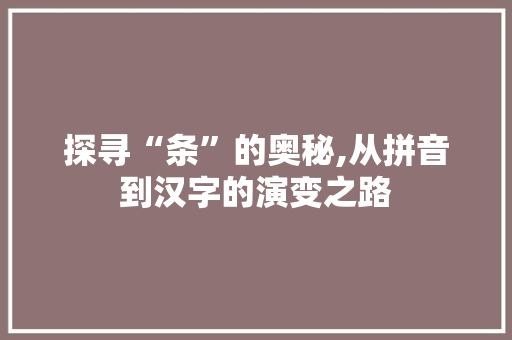 探寻“条”的奥秘,从拼音到汉字的演变之路
