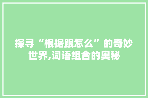 探寻“根据跟怎么”的奇妙世界,词语组合的奥秘