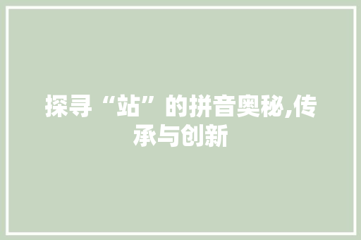 探寻“站”的拼音奥秘,传承与创新 SEO教程