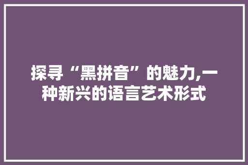 探寻“黑拼音”的魅力,一种新兴的语言艺术形式