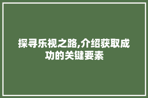 探寻乐视之路,介绍获取成功的关键要素