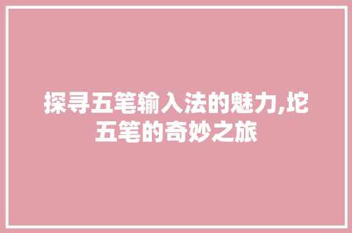 探寻五笔输入法的魅力,坨五笔的奇妙之旅
