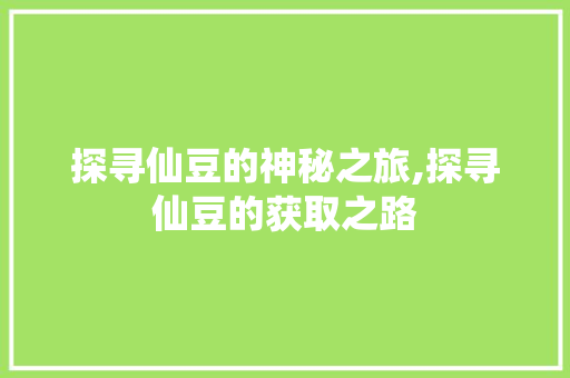 探寻仙豆的神秘之旅,探寻仙豆的获取之路 Web前端