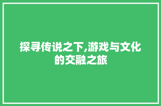 探寻传说之下,游戏与文化的交融之旅 友链在线