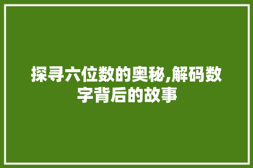 探寻六位数的奥秘,解码数字背后的故事
