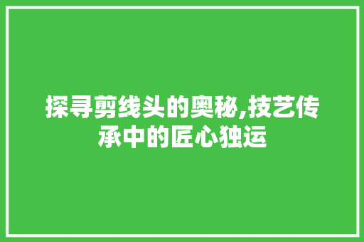 探寻剪线头的奥秘,技艺传承中的匠心独运 WordPress教程