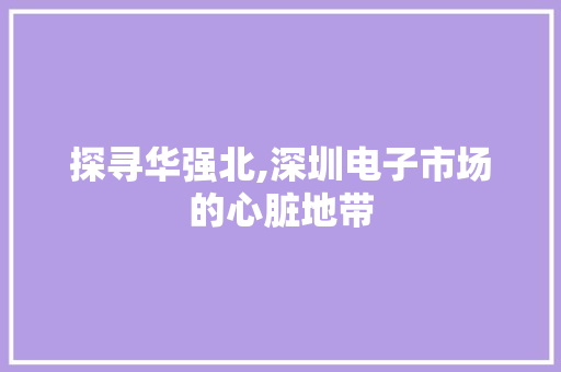 探寻华强北,深圳电子市场的心脏地带 Web前端