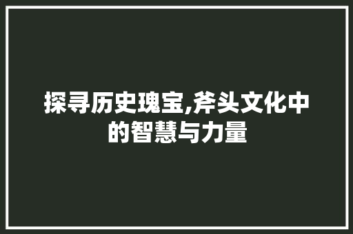 探寻历史瑰宝,斧头文化中的智慧与力量 服务器/数据库