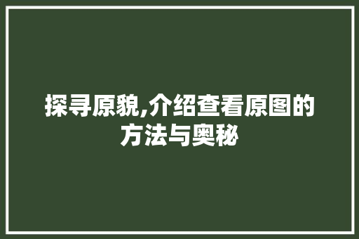 探寻原貌,介绍查看原图的方法与奥秘 WordPress教程