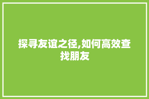 探寻友谊之径,如何高效查找朋友 建站教程