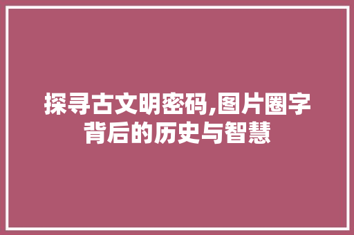 探寻古文明密码,图片圈字背后的历史与智慧 服务器/数据库