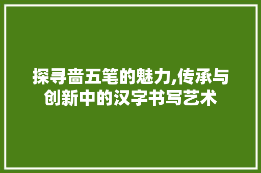 探寻啬五笔的魅力,传承与创新中的汉字书写艺术 服务器/数据库
