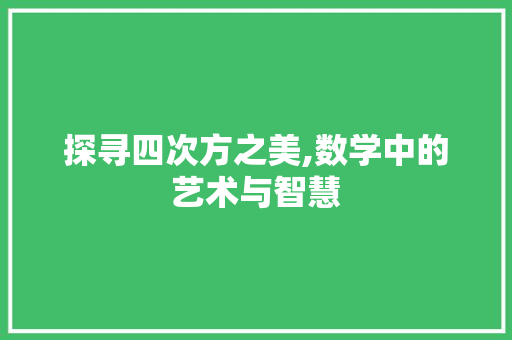 探寻四次方之美,数学中的艺术与智慧 WordPress教程