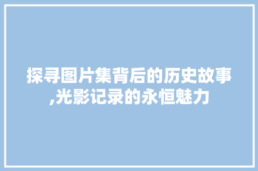 探寻图片集背后的历史故事,光影记录的永恒魅力 建站教程