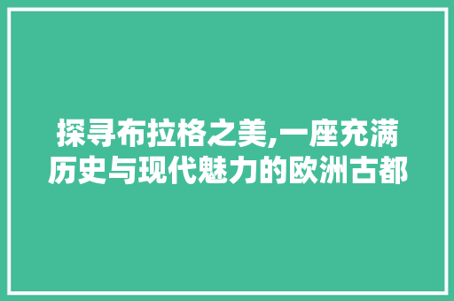 探寻布拉格之美,一座充满历史与现代魅力的欧洲古都