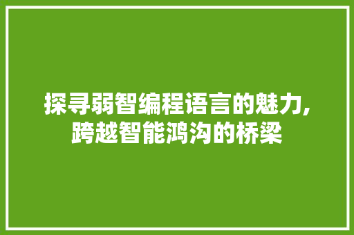 探寻弱智编程语言的魅力,跨越智能鸿沟的桥梁 SEO教程
