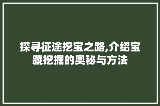 探寻征途挖宝之路,介绍宝藏挖掘的奥秘与方法