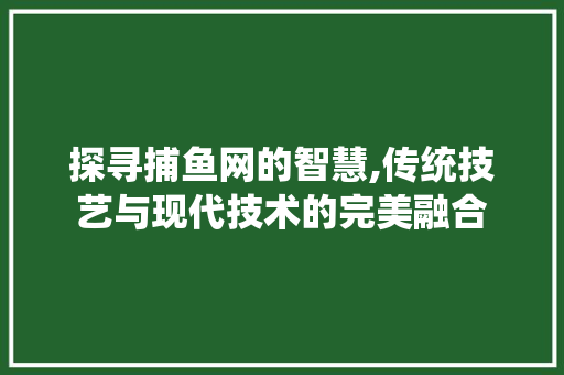 探寻捕鱼网的智慧,传统技艺与现代技术的完美融合 建站教程